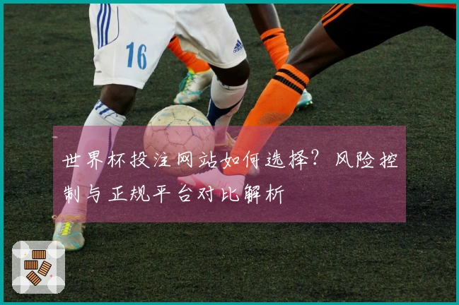 世界杯投注网站如何选择？风险控制与正规平台对比解析