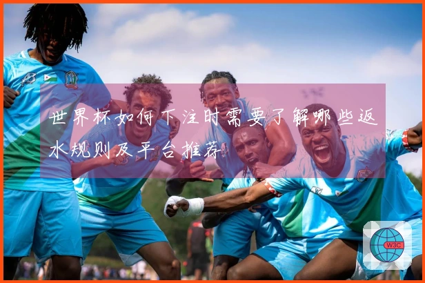 世界杯如何下注时需要了解哪些返水规则及平台推荐