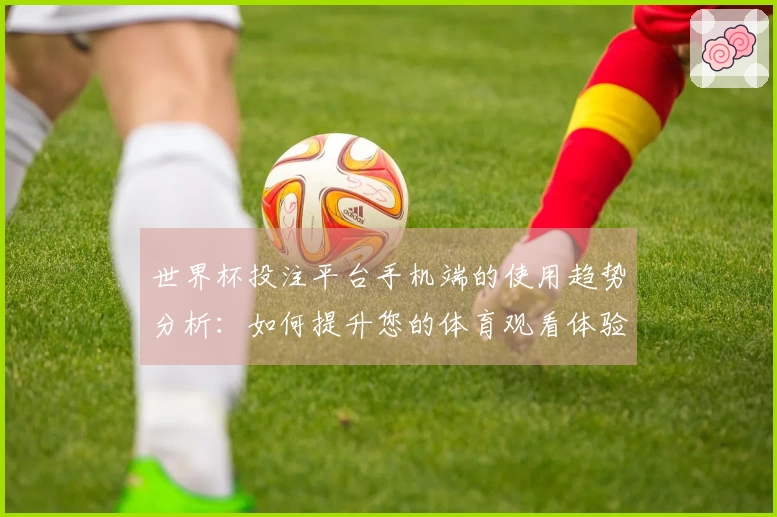 世界杯投注平台手机端的使用趋势分析：如何提升您的体育观看体验