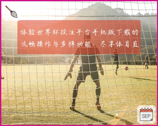 体验世界杯投注平台手机版下载的流畅操作与多样功能，尽享体育直播的乐趣