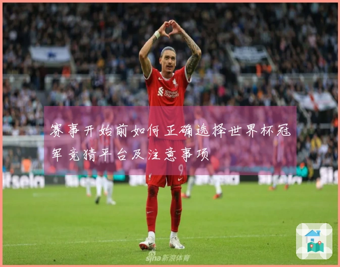 赛事开始前如何正确选择世界杯冠军竞猜平台及注意事项