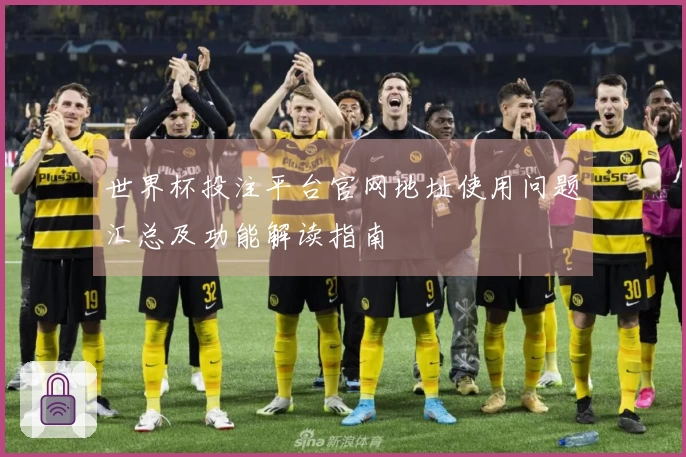 世界杯投注平台官网地址使用问题汇总及功能解读指南