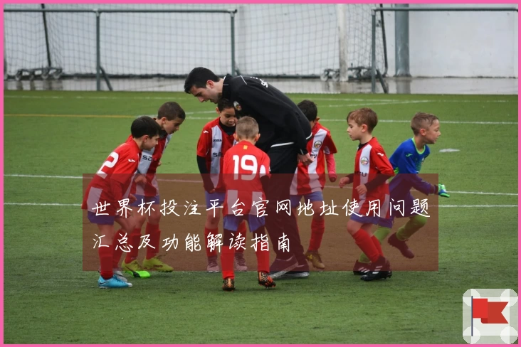 世界杯投注平台官网地址使用问题汇总及功能解读指南