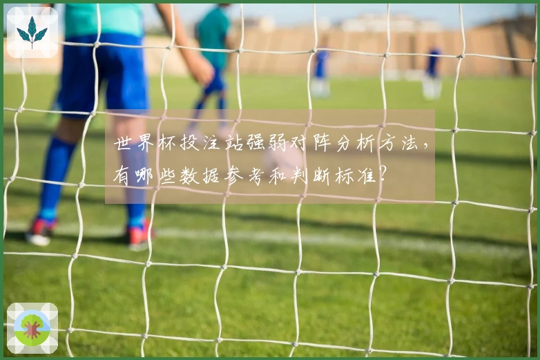 世界杯投注站强弱对阵分析方法，有哪些数据参考和判断标准？