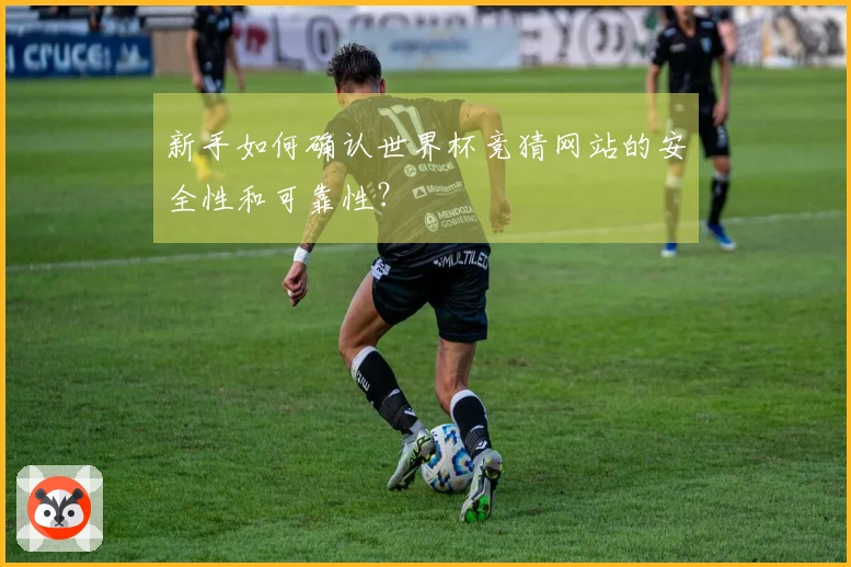 新手如何确认世界杯竞猜网站的安全性和可靠性？