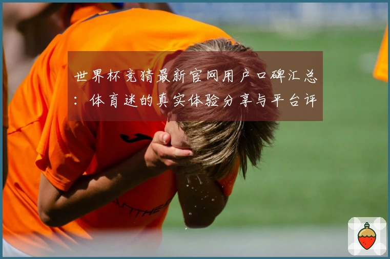世界杯竞猜最新官网用户口碑汇总：体育迷的真实体验分享与平台评价
