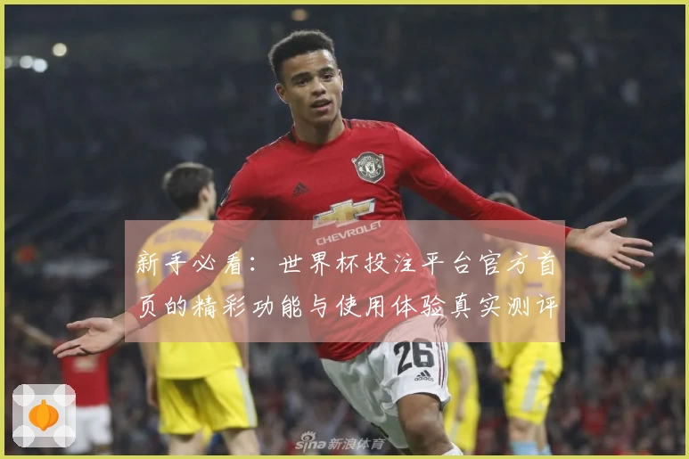 新手必看：世界杯投注平台官方首页的精彩功能与使用体验真实测评反馈