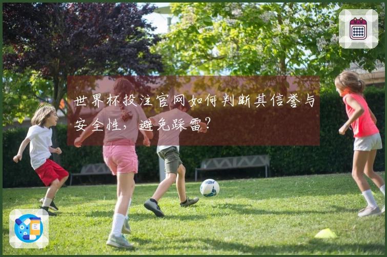世界杯投注官网如何判断其信誉与安全性,避免踩雷?