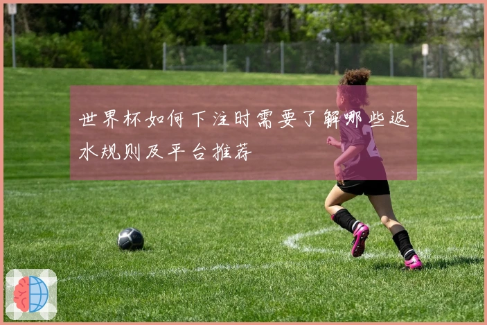 世界杯如何下注时需要了解哪些返水规则及平台推荐