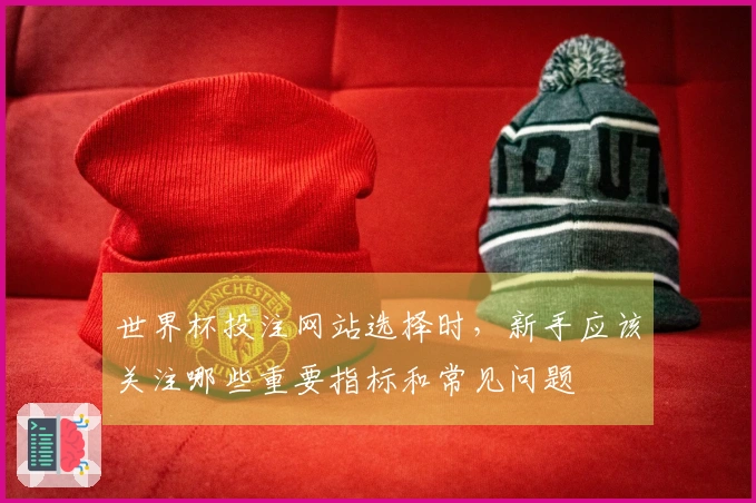 世界杯投注网站选择时，新手应该关注哪些重要指标和常见问题