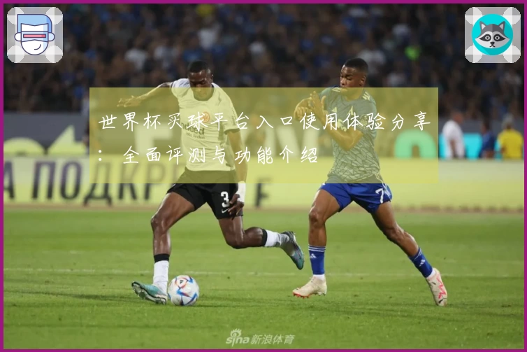 世界杯买球平台入口使用体验分享：全面评测与功能介绍