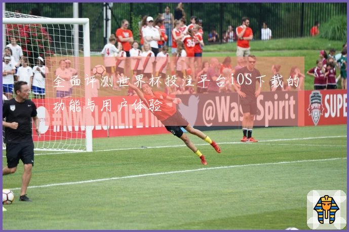 全面评测世界杯投注平台iOS下载的功能与用户体验