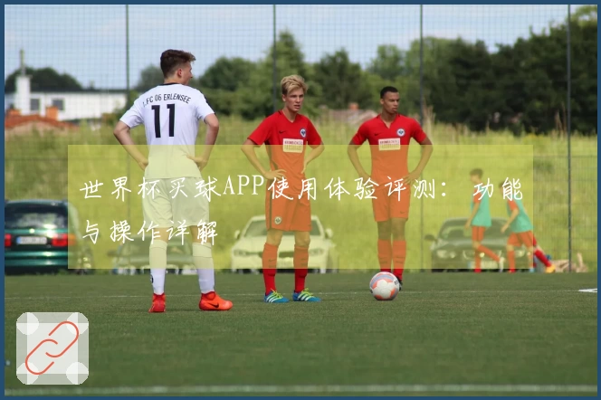世界杯买球APP使用体验评测：功能与操作详解