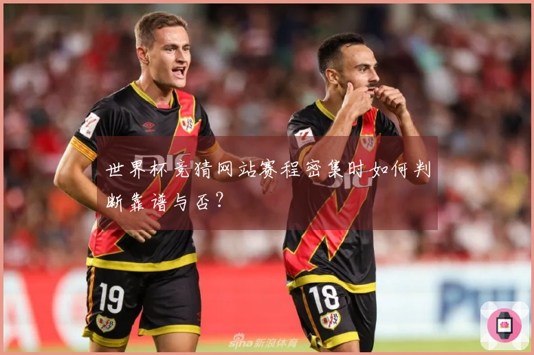 世界杯竞猜网站赛程密集时如何判断靠谱与否？