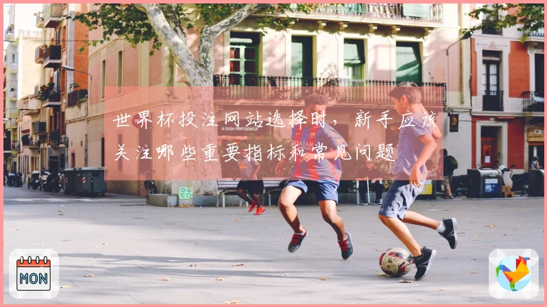 世界杯投注网站选择时，新手应该关注哪些重要指标和常见问题
