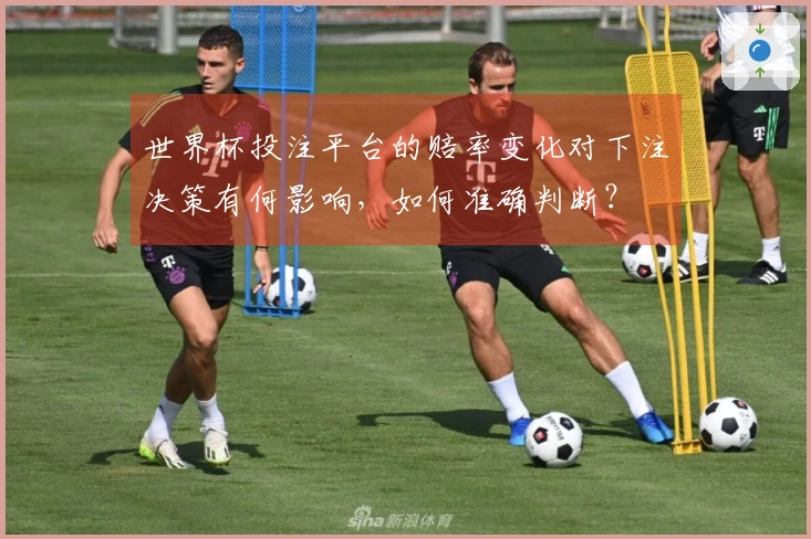世界杯投注平台的赔率变化对下注决策有何影响，如何准确判断？