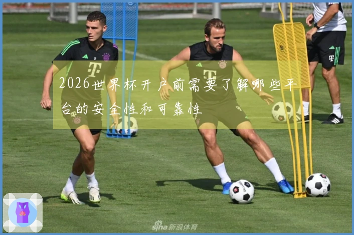 2026世界杯开户前需要了解哪些平台的安全性和可靠性